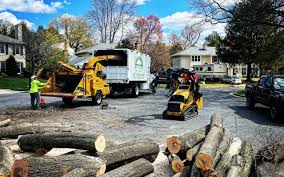 Reliable Graham, NC Tree Removal Services Solutions